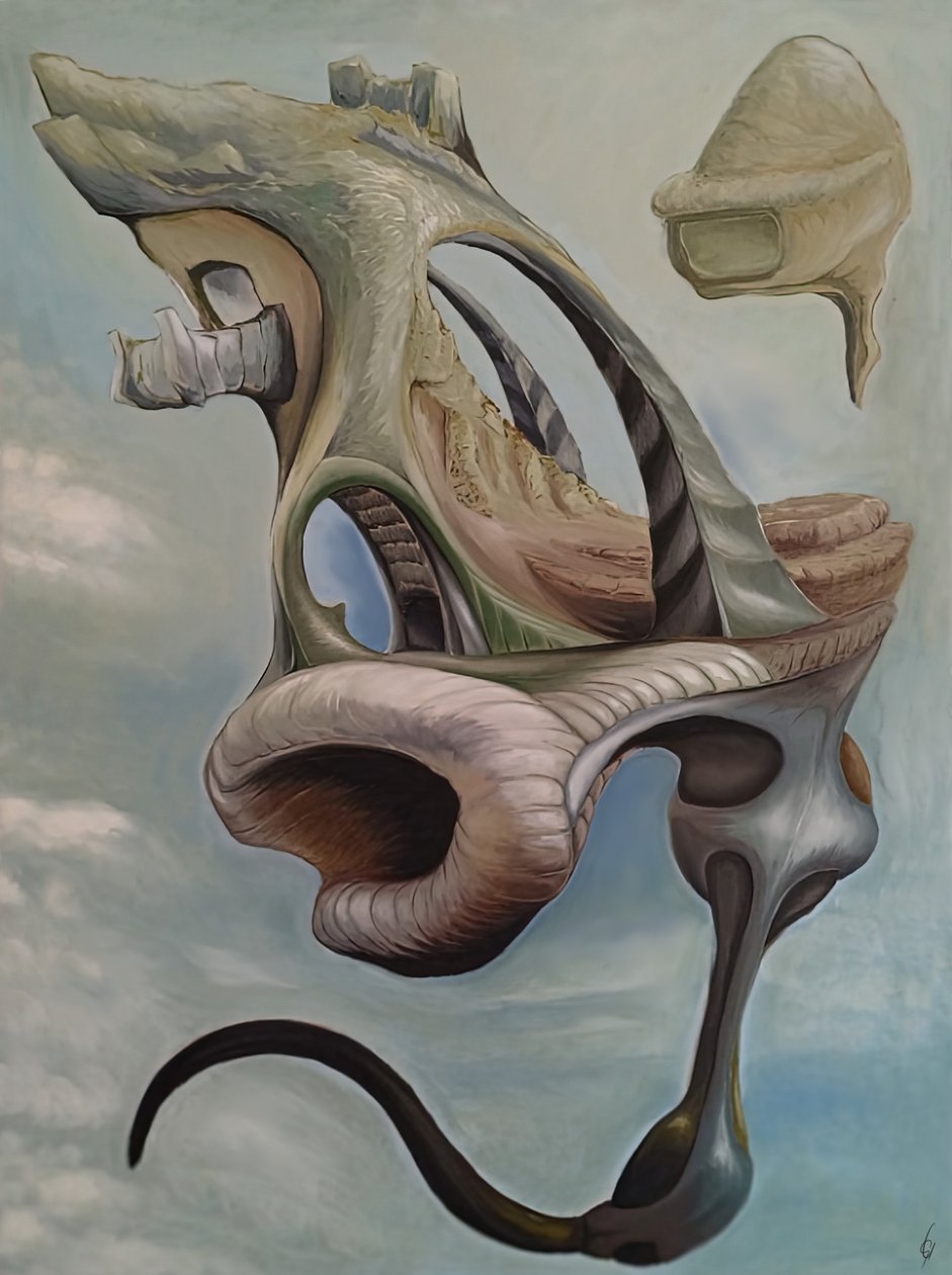 Levitas - Gabriel Ungureanu