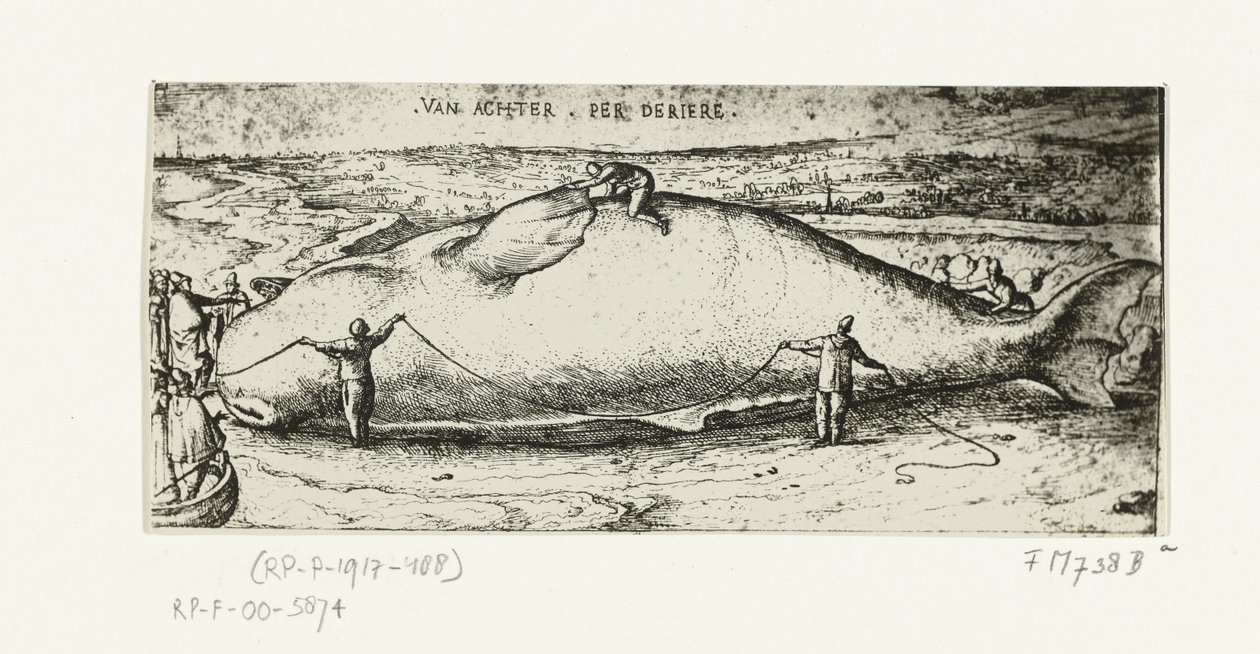 Gravure de la baleine échouée à Anvers, 2 juillet 1577 - A.B. van Deinse