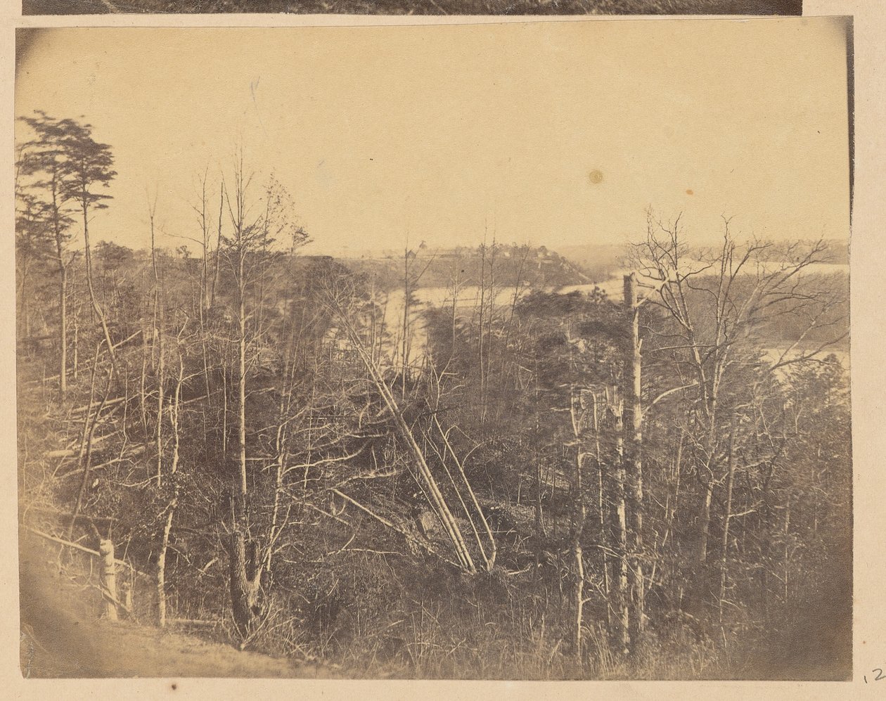 [Paysage avec des arbres et de l
