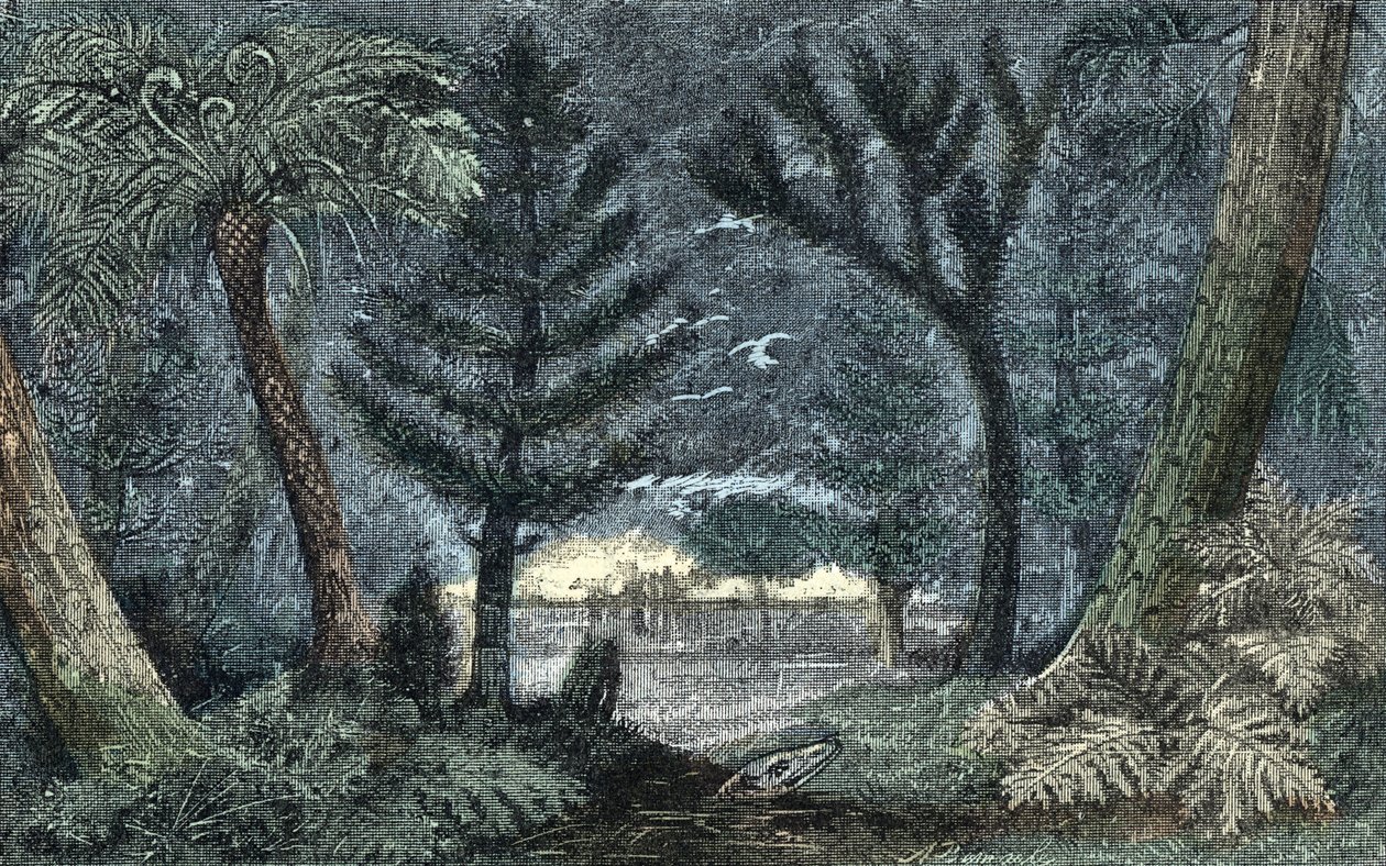 Préhistoire : paysage caractéristique avec marais et forêt - A. Demarle