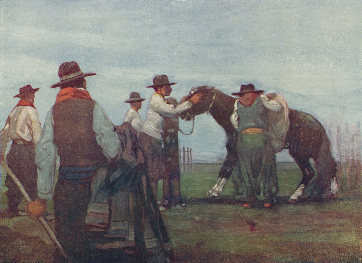 Gauchos dressant un jeune cheval, 1916 - A. S. Forrest