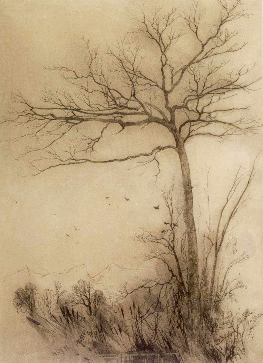 Les oiseaux volent vers le sud - Conway - Aaron Draper Shattuck