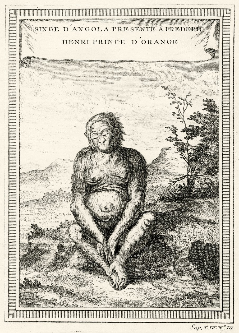 Illustration de l