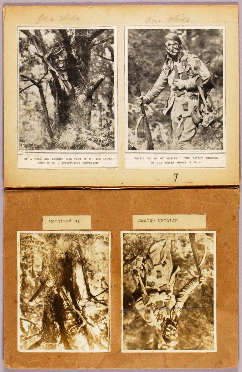 Britische Scharfschützen-Tarnung (frühe Bilder), Studienmappe für das Buch Concealing Coloration in the Animal Kingdom - Abbott Handerson Thayer