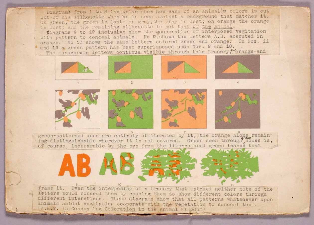 Diagramm und Kupferkopfschlange, Studienmappe für das Buch Concealing Coloration in the Animal Kingdom - Abbott Handerson Thayer