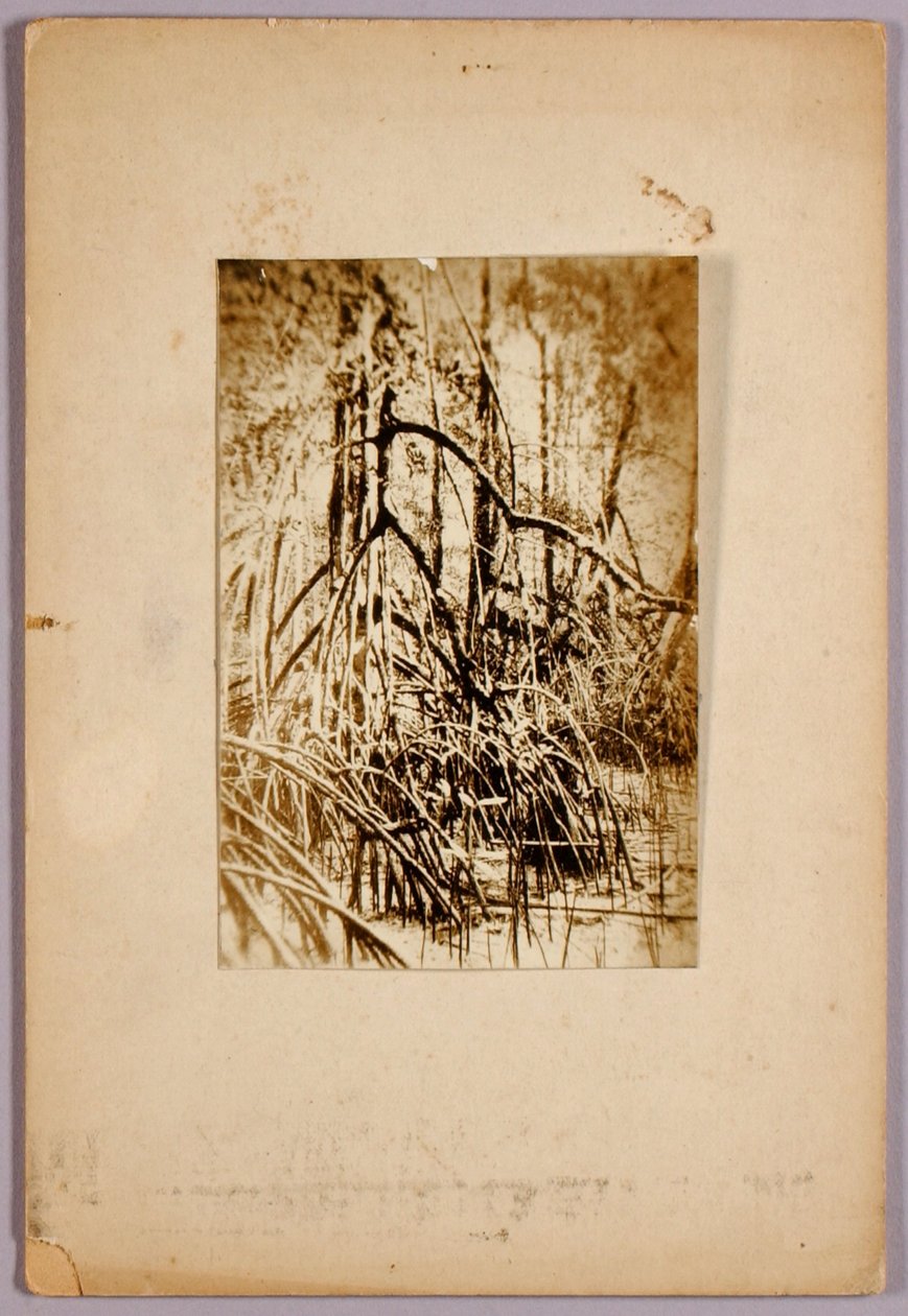 Photo d