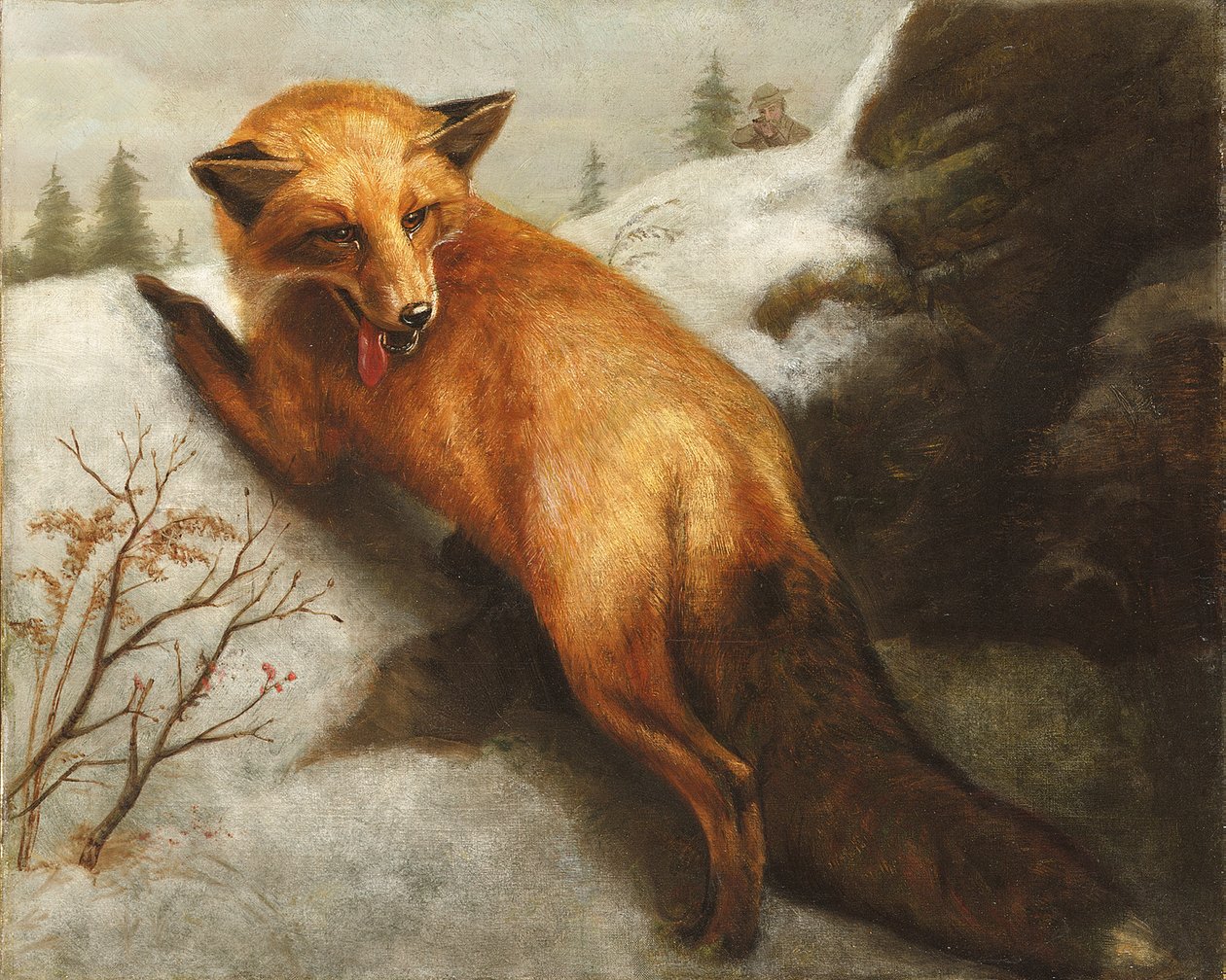 Le Renard Rouge, 1870 | Abbott Handerson Thayer
