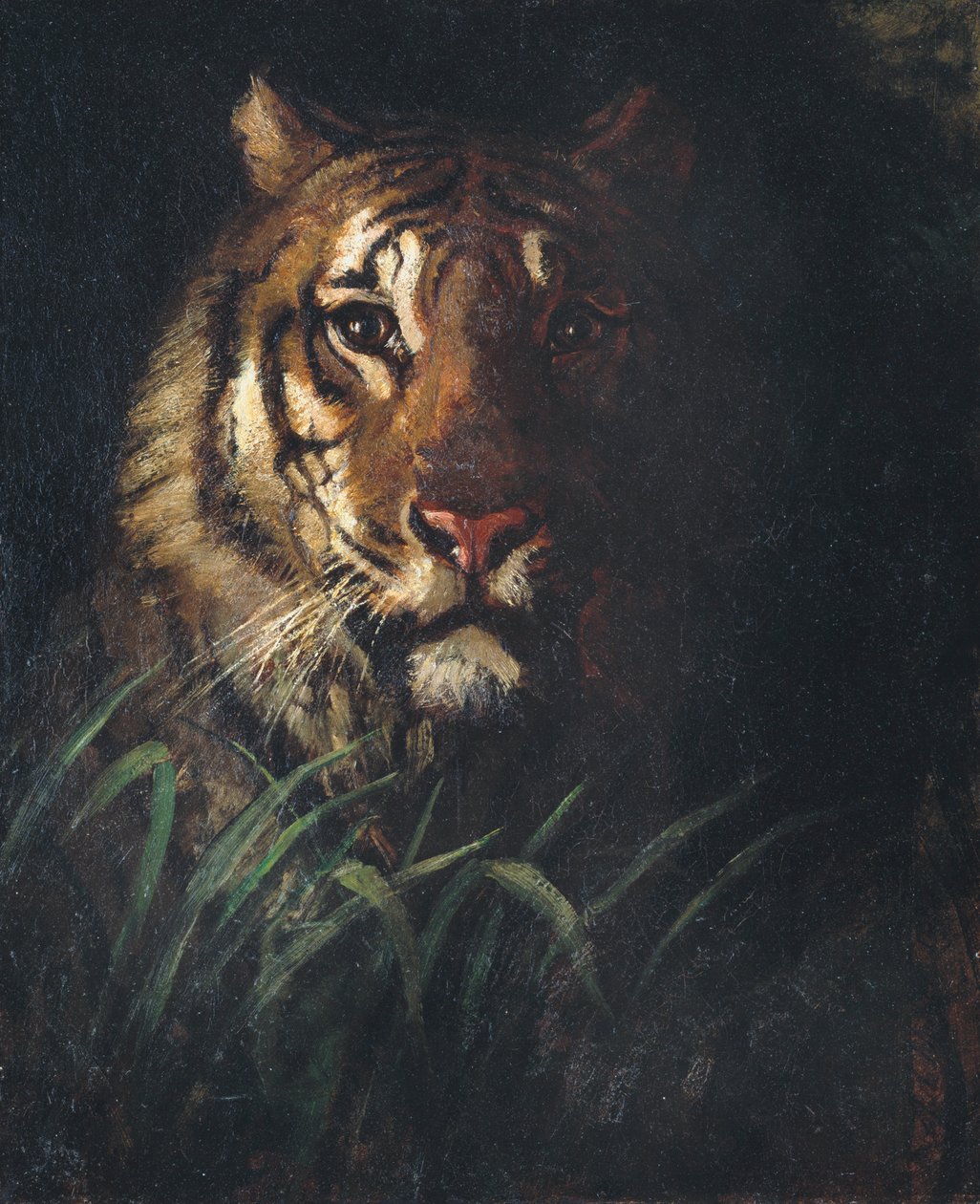 Tête de tigre, ca. 1874 - Abbott Handerson Thayer
