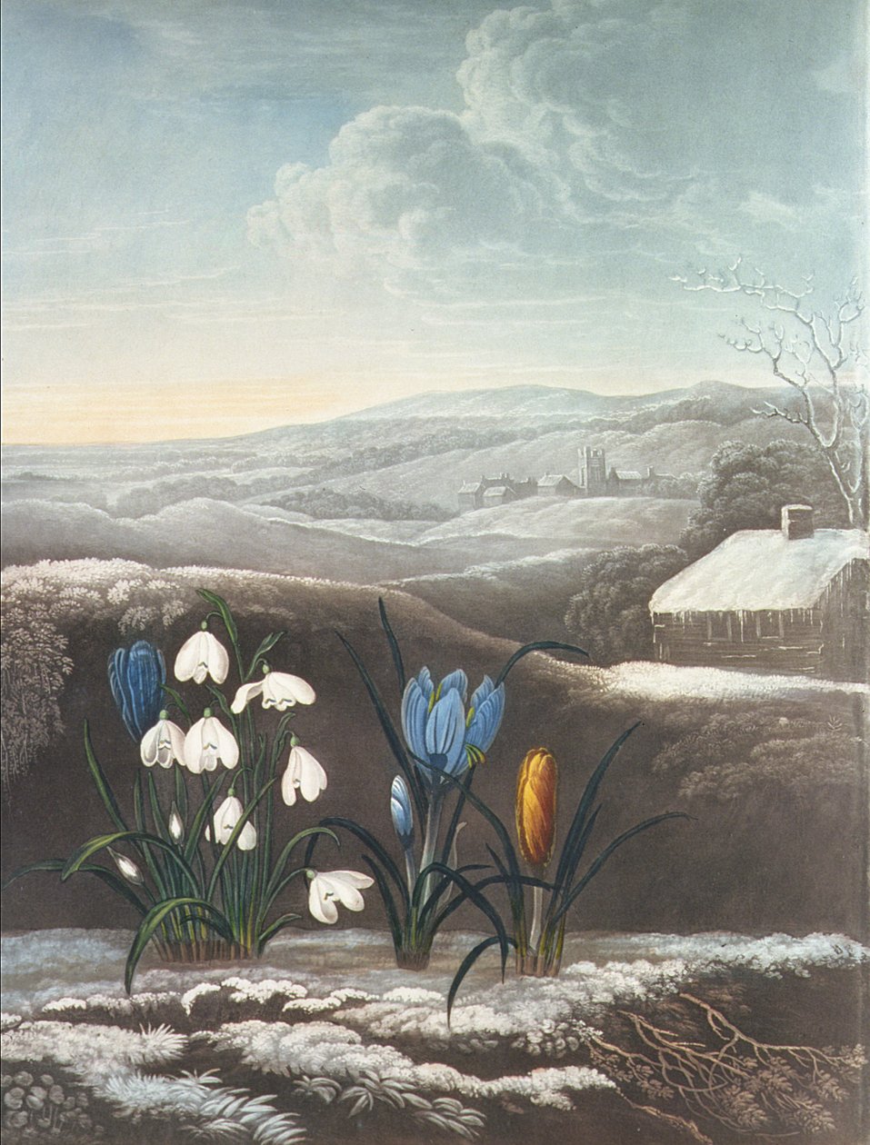 Le Perce-neige, gravé par Ward, probablement début du 19ème siècle - Abraham Pether