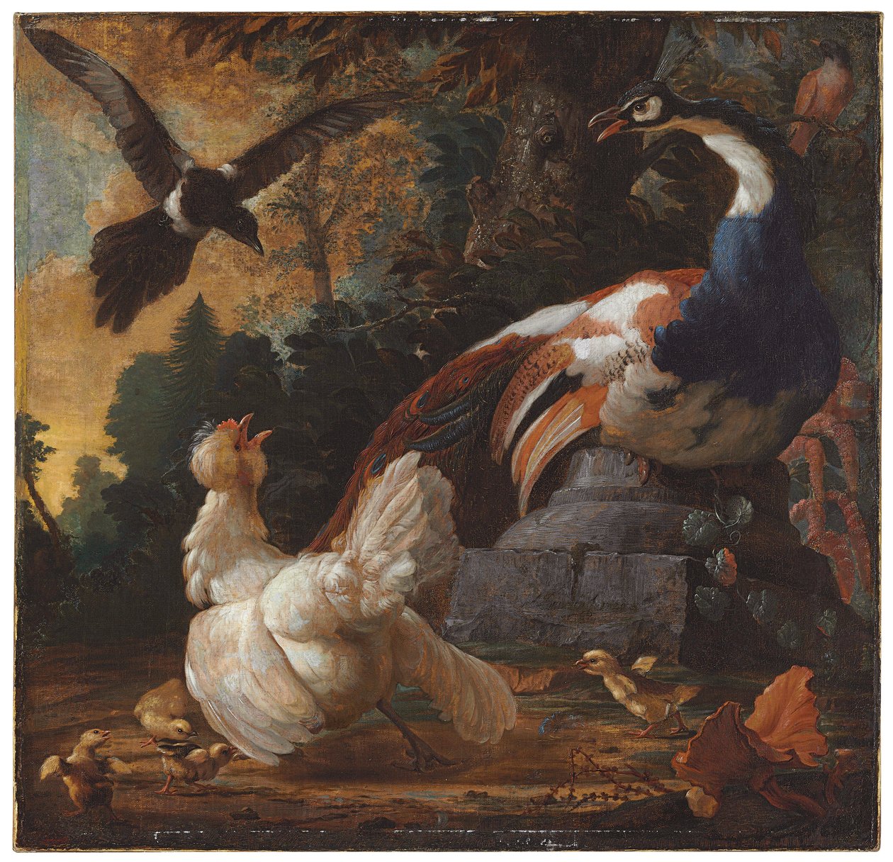 Un paon, des volailles et une pie dans un paysage, 1720 - Abraham Bisschop