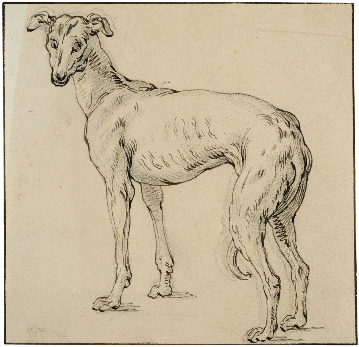 Greyhound - Abraham Bloemaert