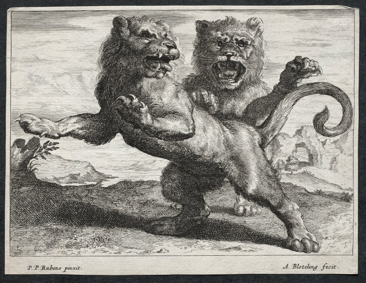 Divers Lions - Abraham Blooteling