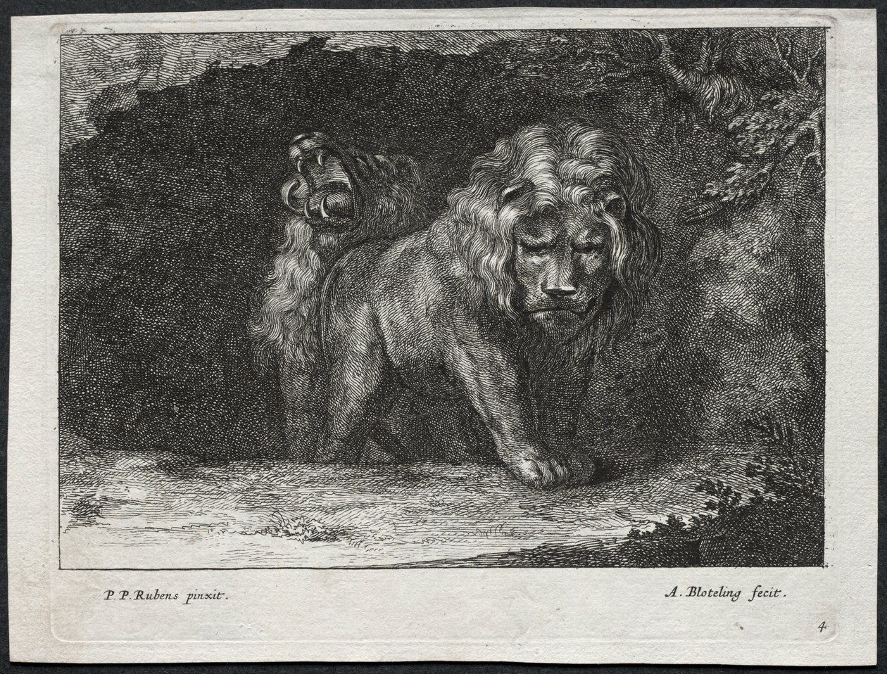Divers lions - Abraham Blooteling