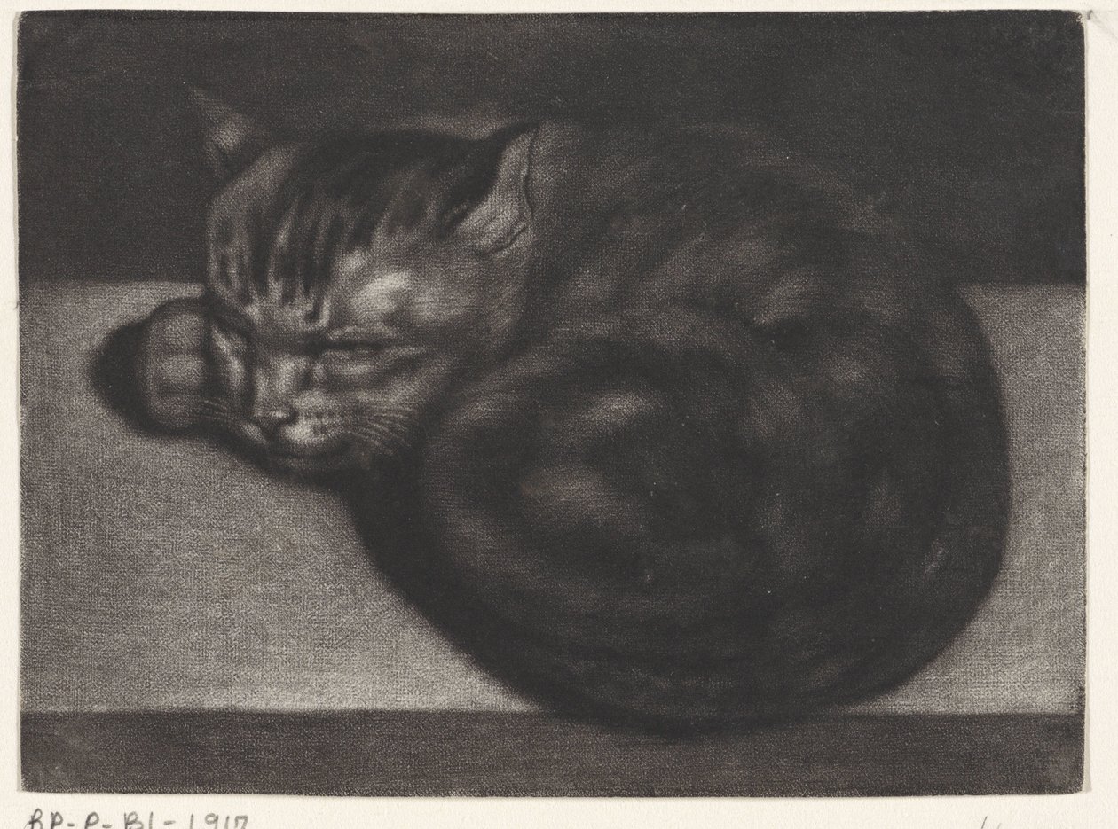 Chat endormi - Abraham Bloteling