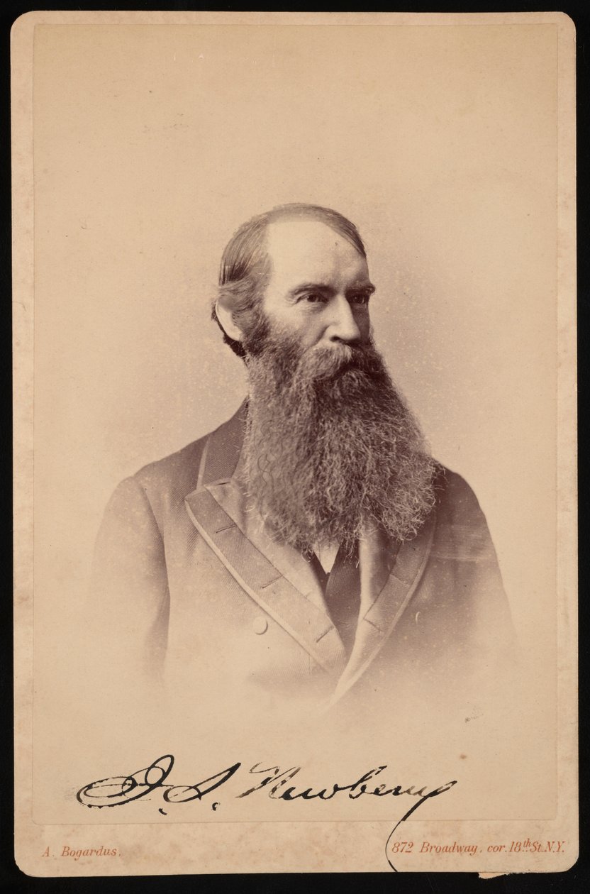 Portrait de John Strong Newberry 1822-1892, entre 1876 et 1887 - Abraham Bogardus