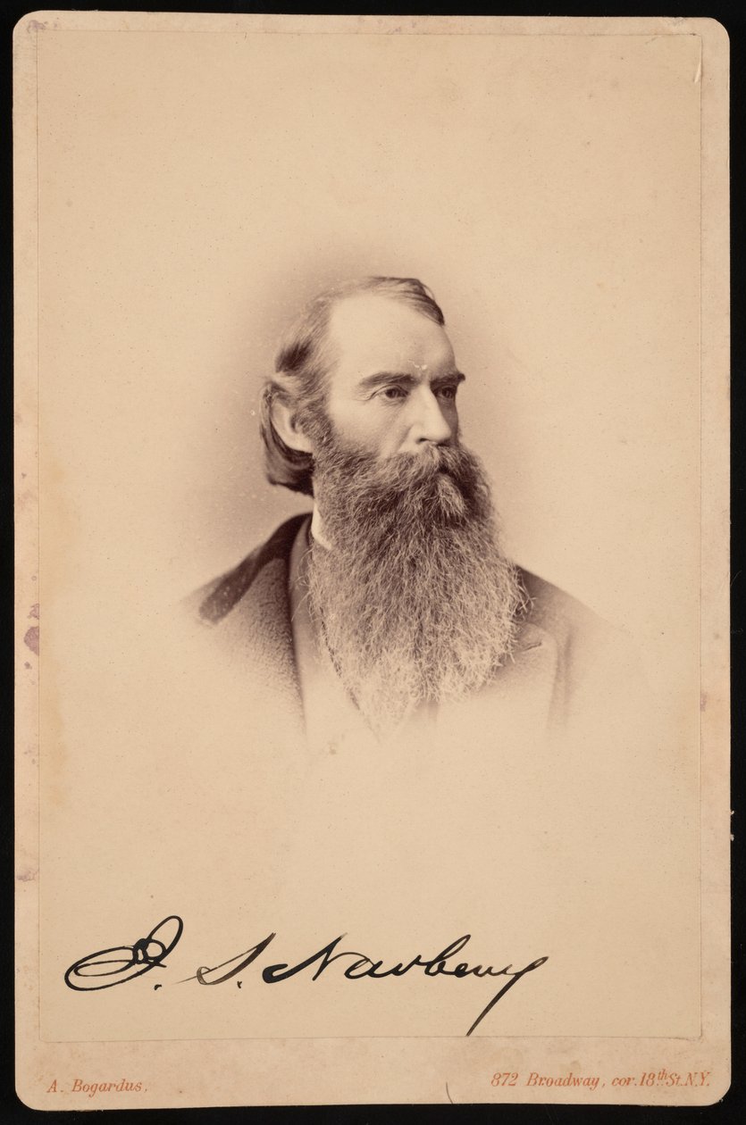 Portrait de John Strong Newberry, entre 1876 et 1887 - Abraham Bogardus