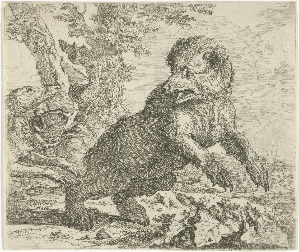 Ours attaqué par des chiens - Abraham Danielsz. Hondius