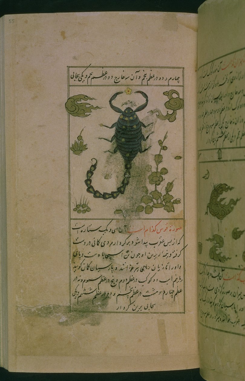 Constellations du zodiaque : Scorpion, le scorpion, de Talim dar marifat i taqvuim, 1498 (903 Hijra) - Abu Jafar al Tabari