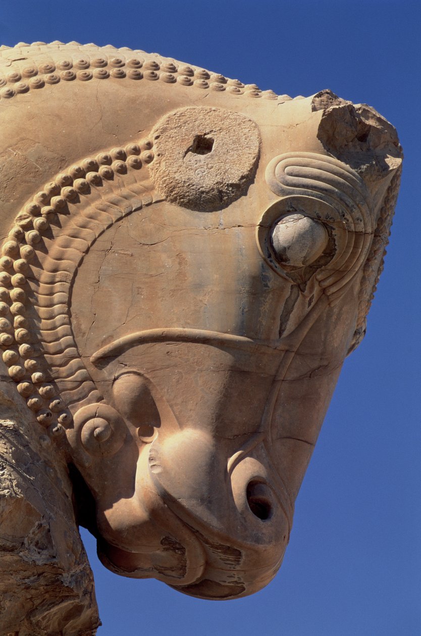 Tête de taureau sur le portique nord de la salle du trône de Xerxès - Achaemenid