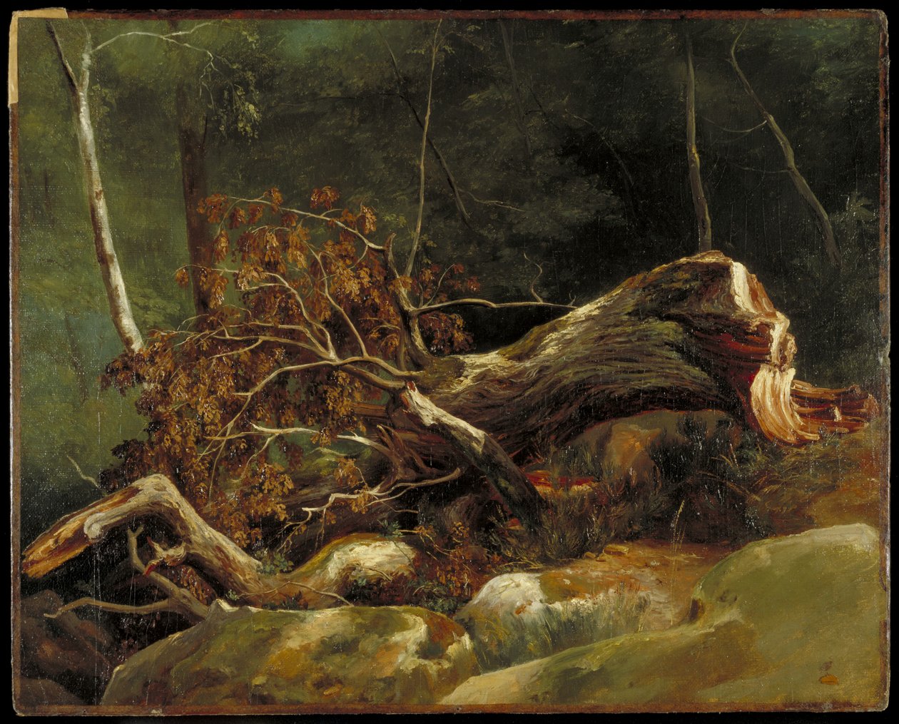 La branche tombée, Fontainebleau, vers 1816 - Achille Etna Michallon