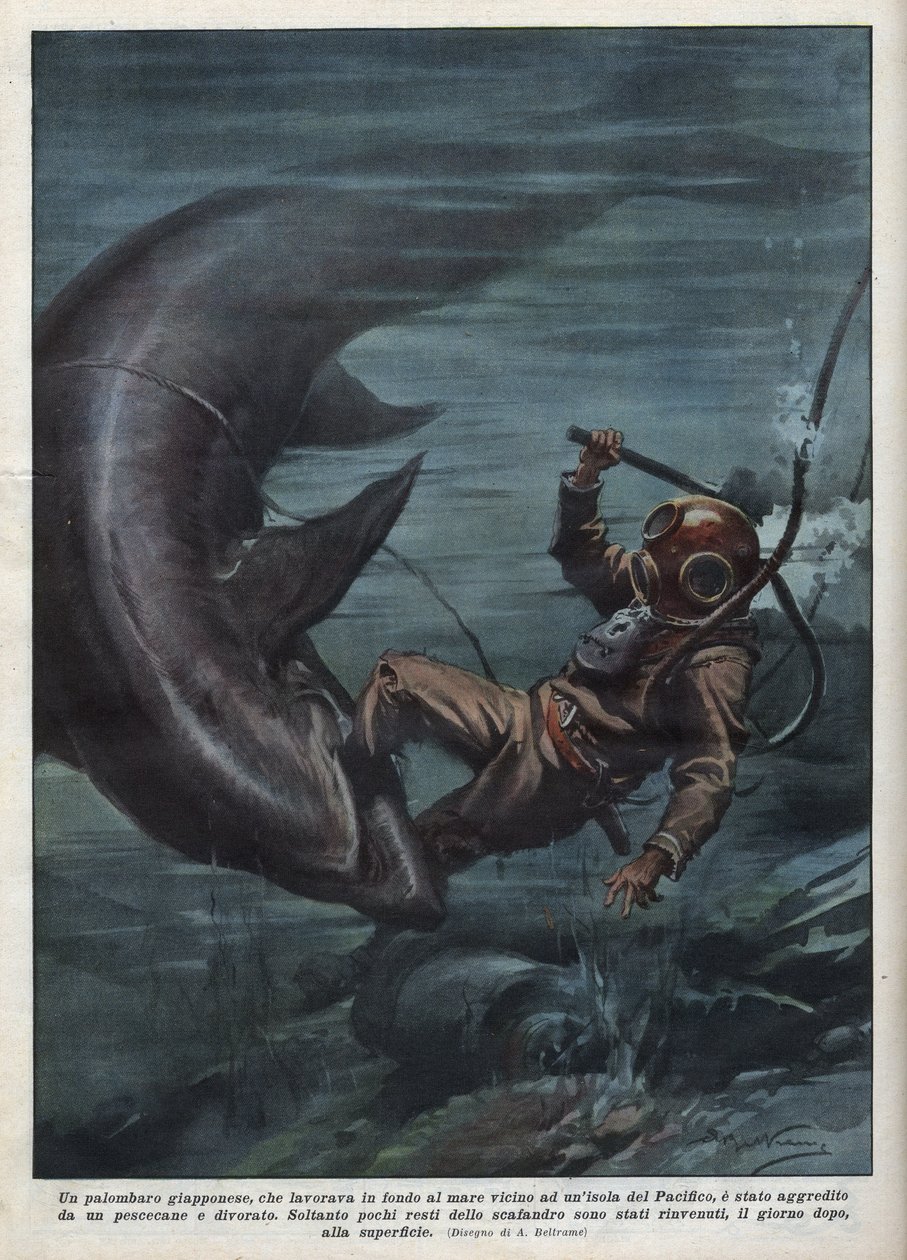 Un plongeur japonais avec un scaphandrier dévoré par un requin dans l
