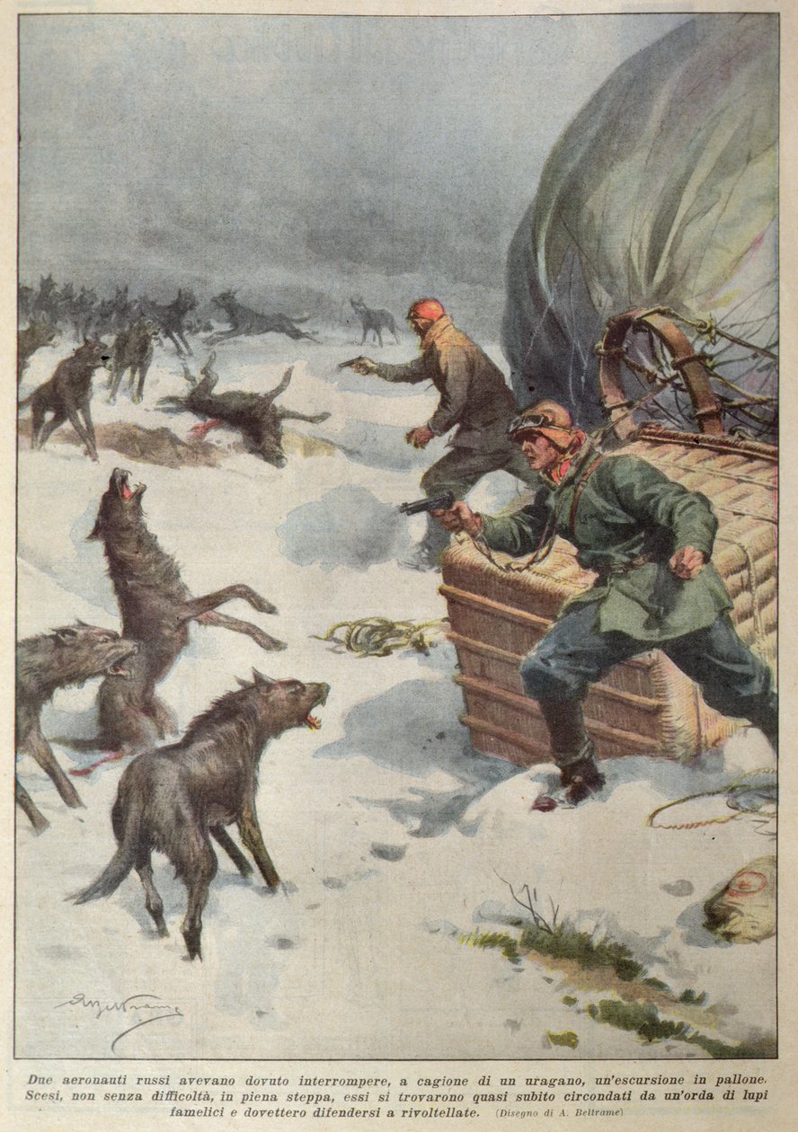 Meutes de loups attaquant l