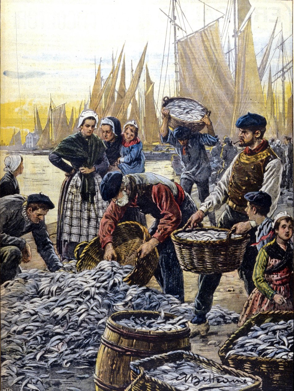 Pêche à la sardine en Bretagne en 1903 illustration d