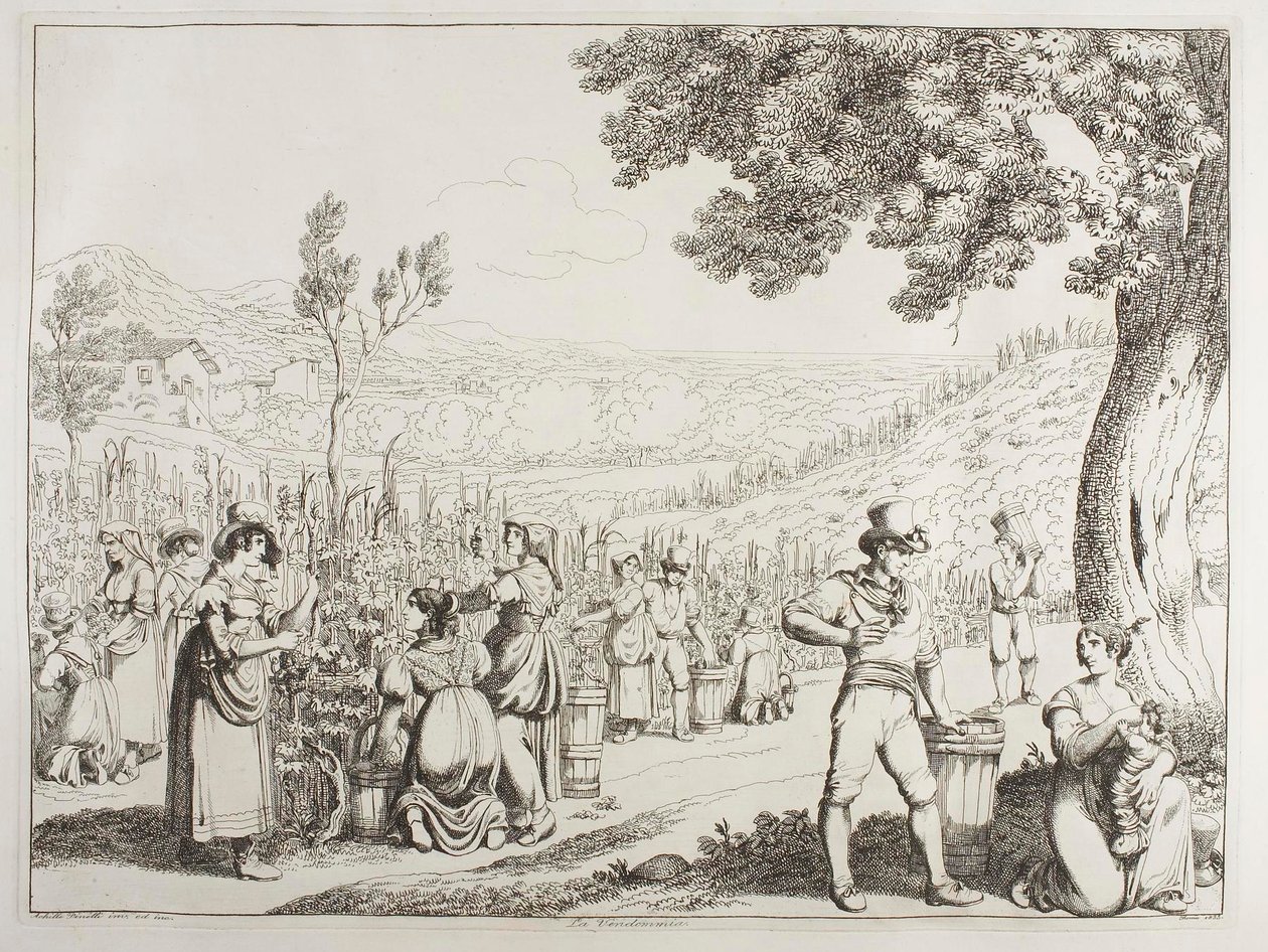 Les vendanges - Achille Pinelli