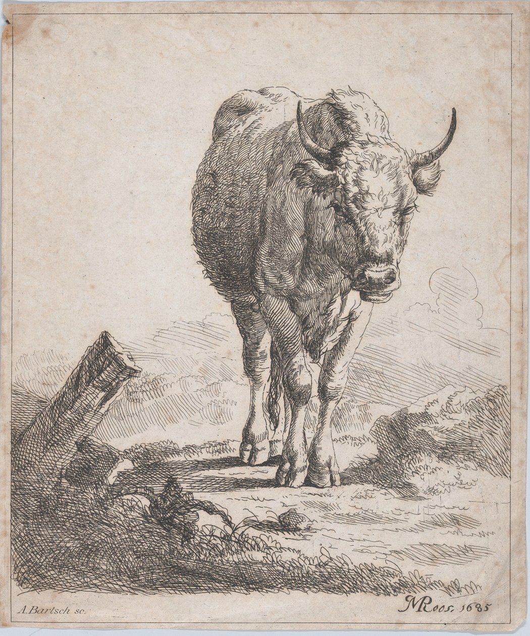 Une vache, vue de face, 1805 - Adam von Bartsch