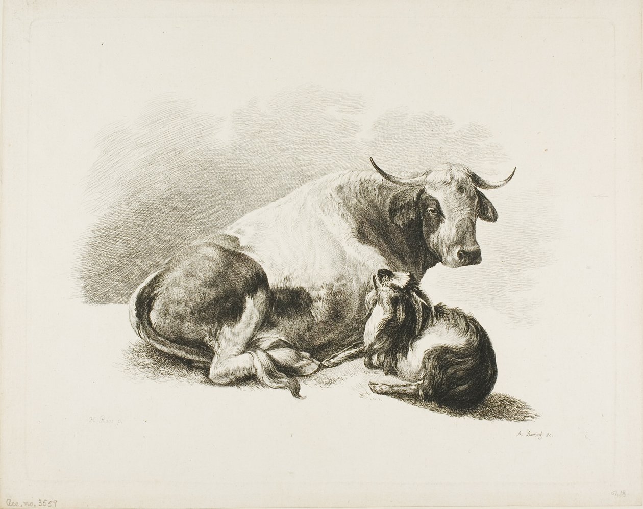 Morceau d