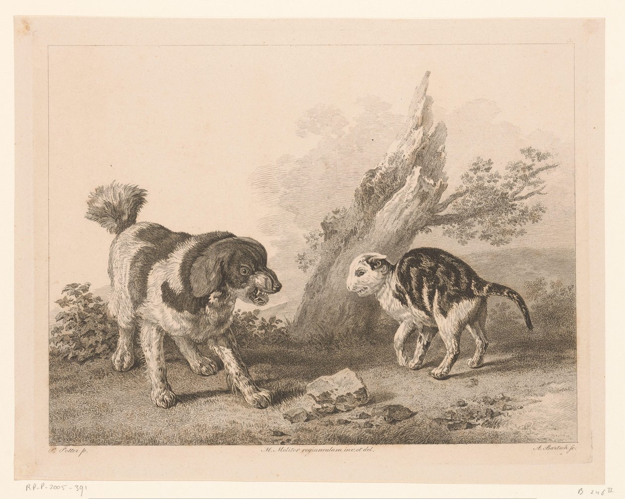 Chien et chat en position de combat - Adam von Bartsch
