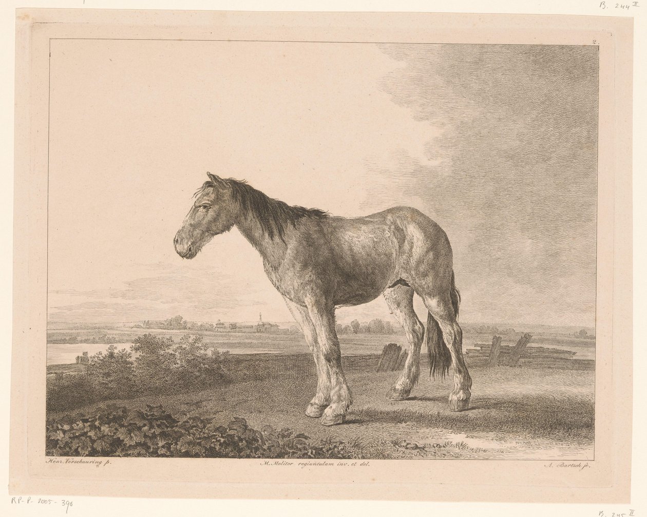 Cheval debout dans un paysage fluvial - Adam von Bartsch