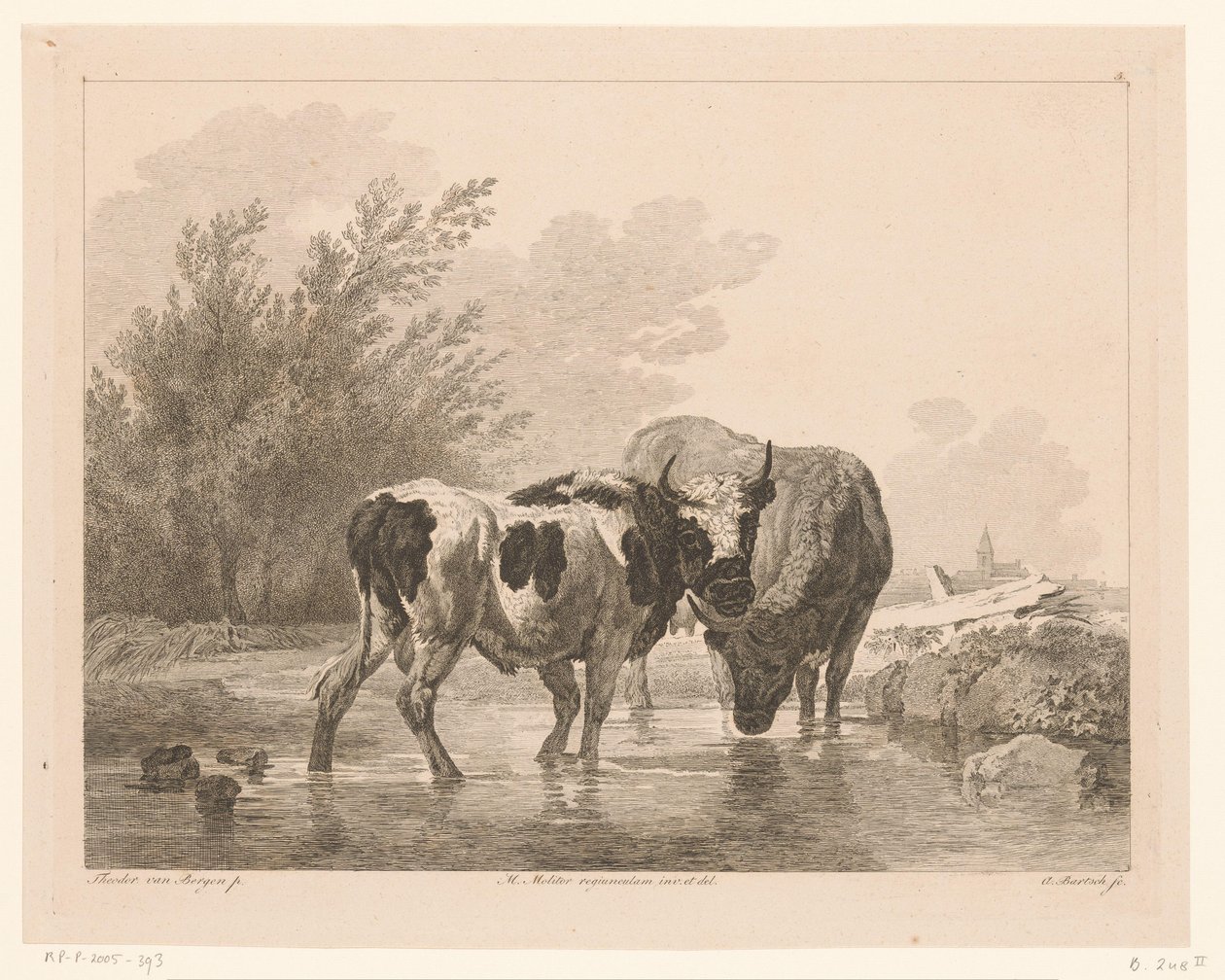 Deux vaches dans un ruisseau - Adam von Bartsch