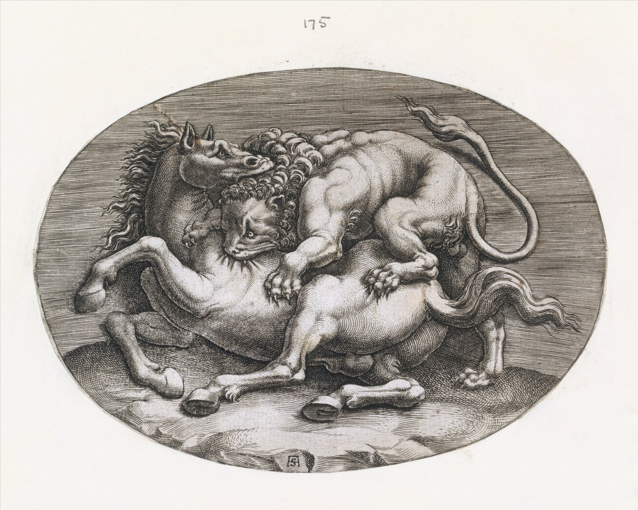 Speculum Romanae Magnificentiae : Lion attaquant un cheval, vers 1540-80 - Adamo Scultori
