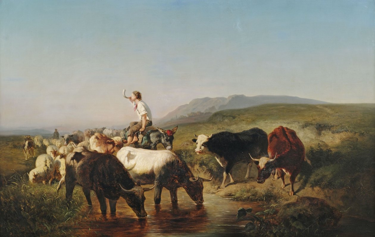 Troupeau de bétail et de moutons avec un garçon berger à dos d
