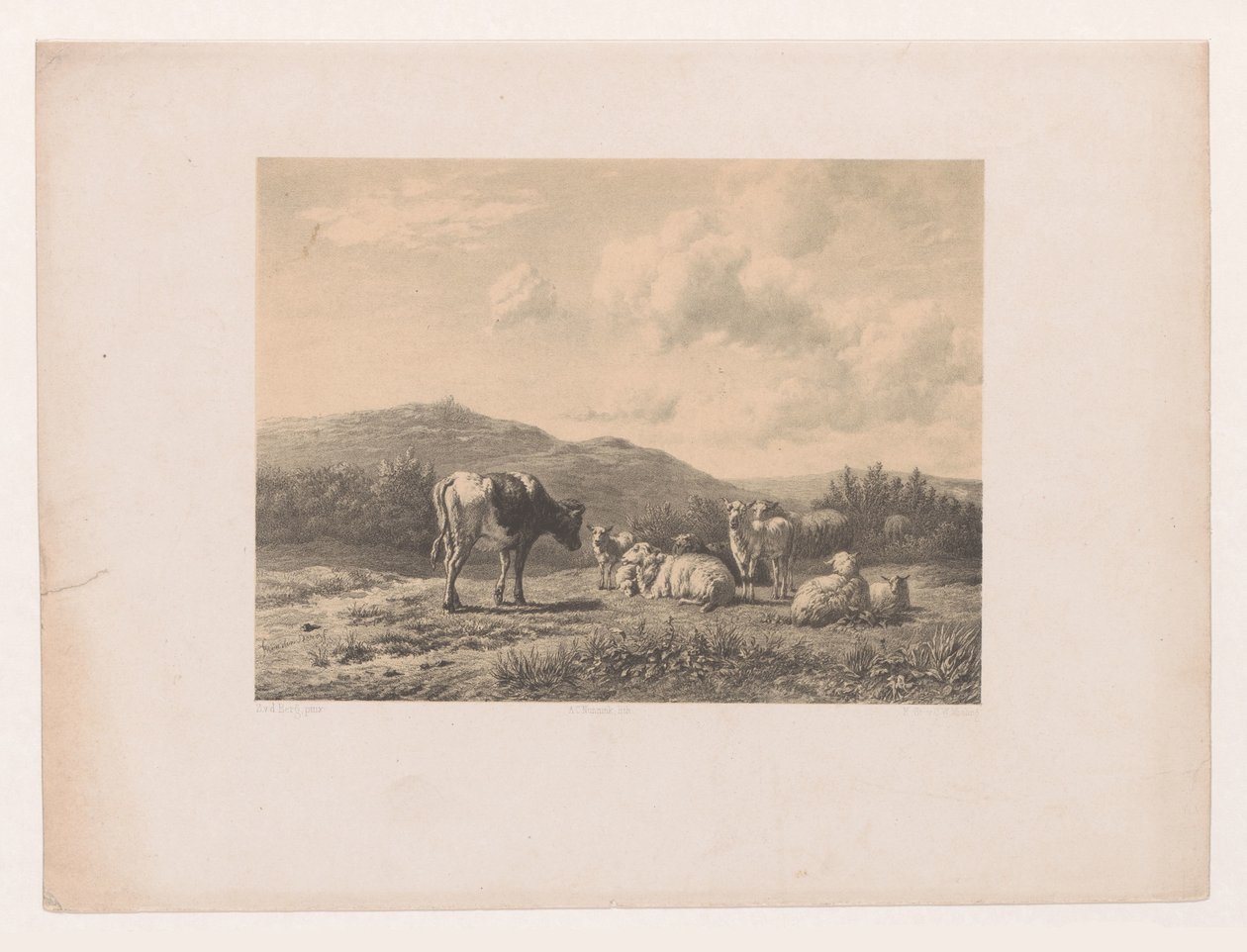 Paysage avec bétail - Adolf Carel Nunnink
