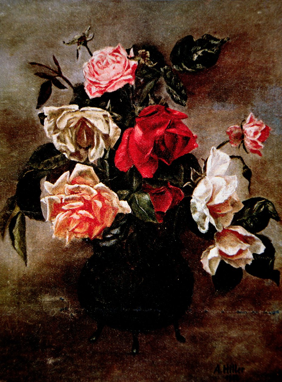 Roses - Adolf Hitler