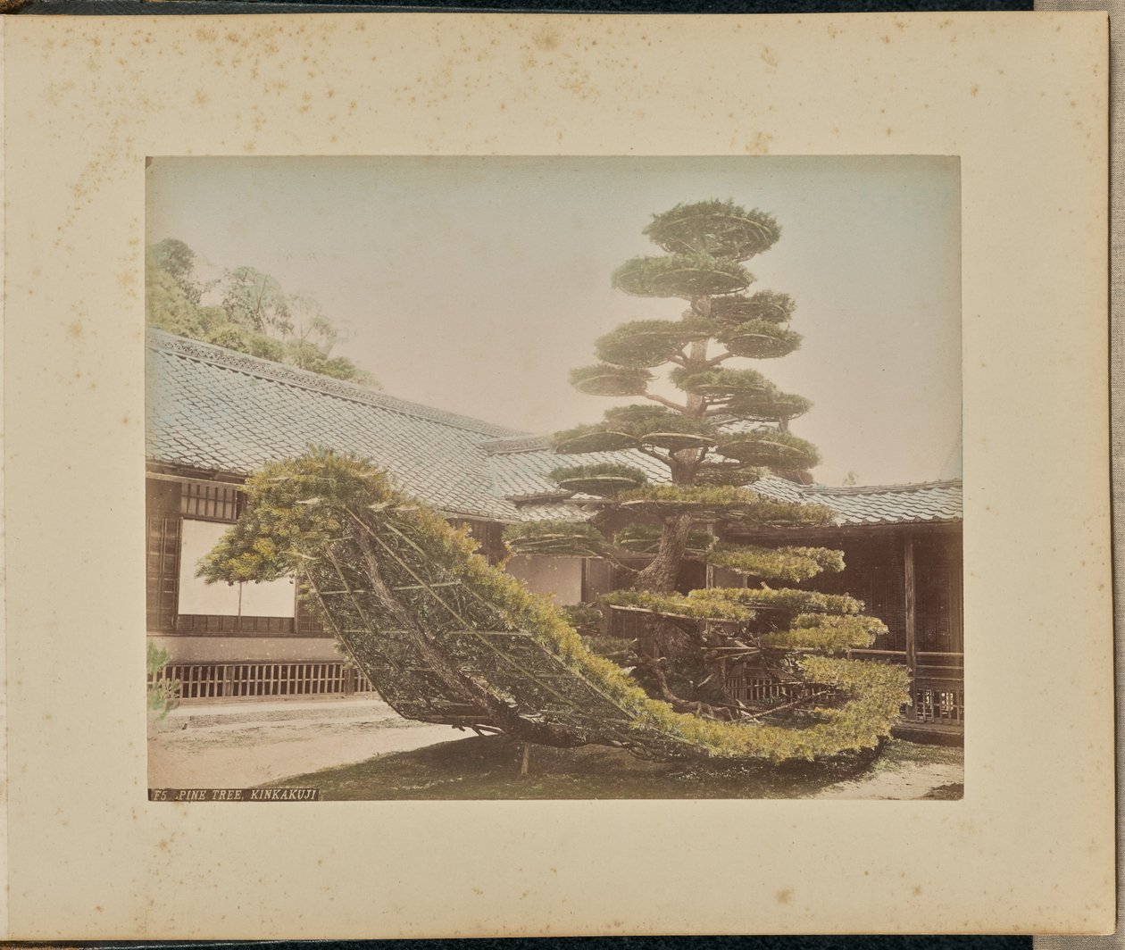 Pin, Kinkakuji - Adolfo Farsari