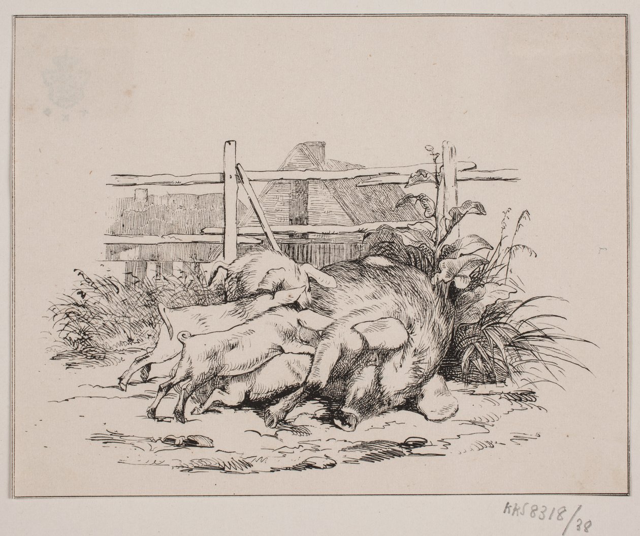 Les cochons - Johan Adolph Kittendorff