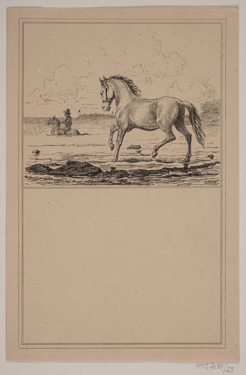 Le cheval dans l