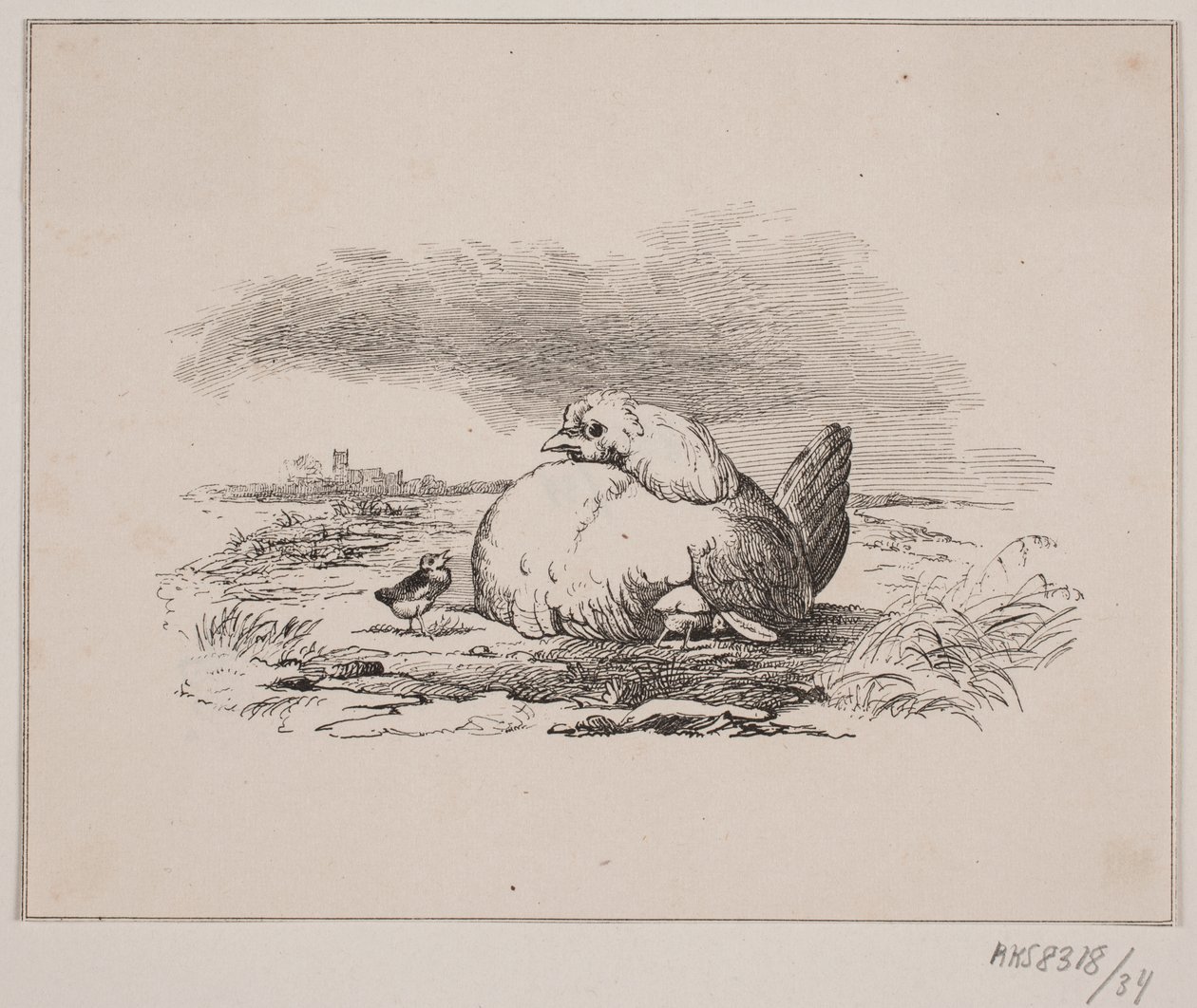 Les poussins - Johan Adolph Kittendorff