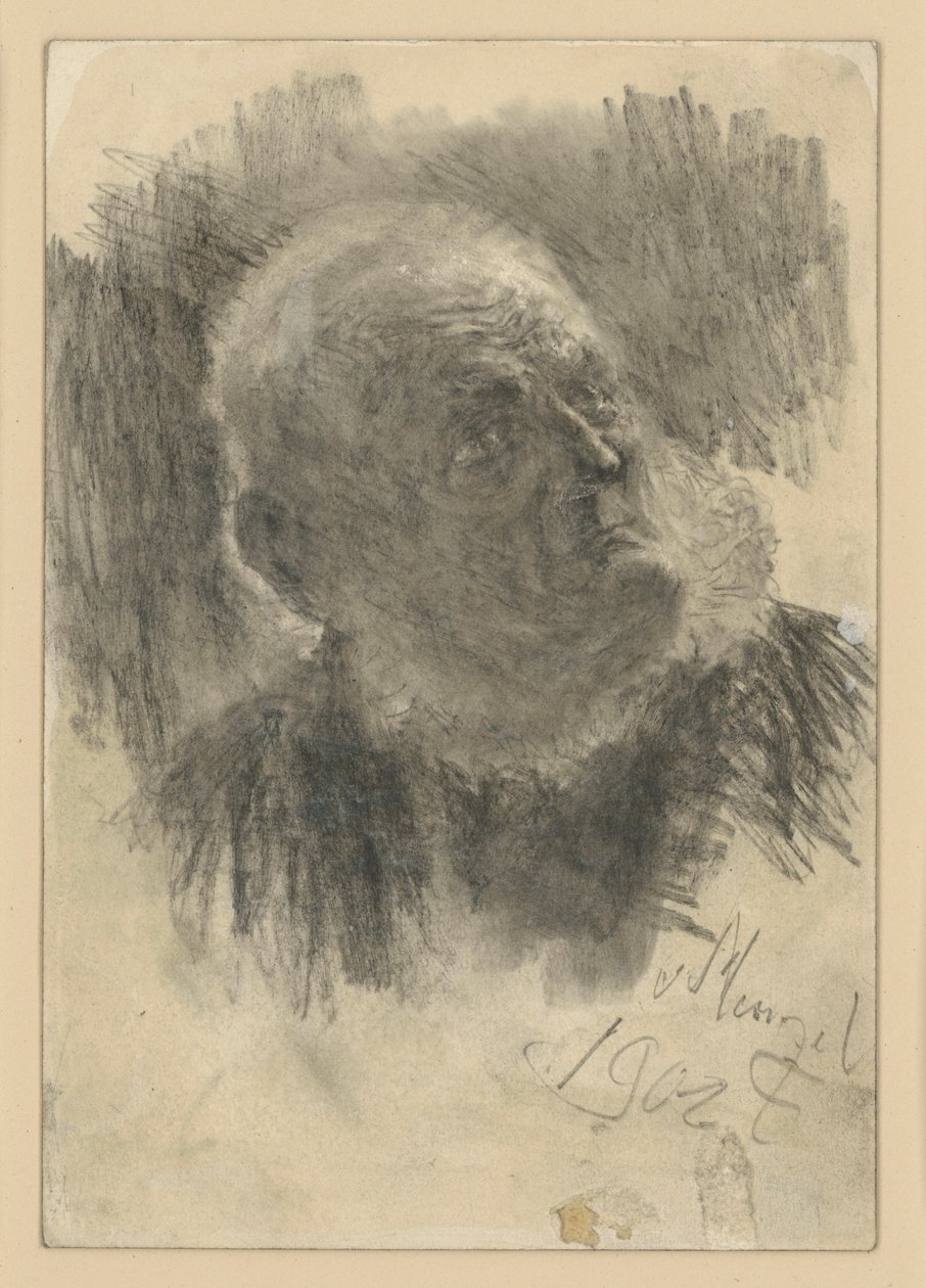 Buste d