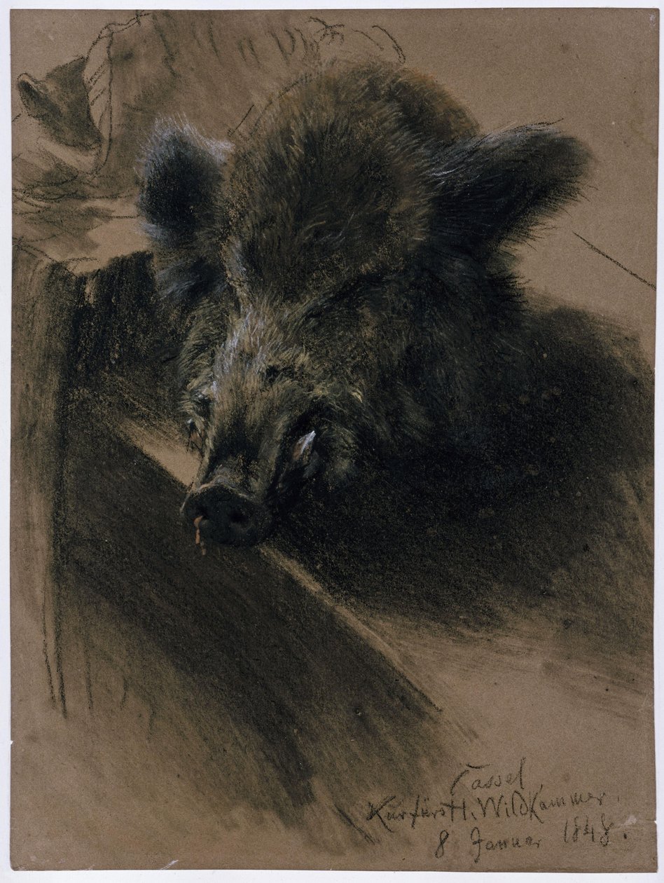 La tête d