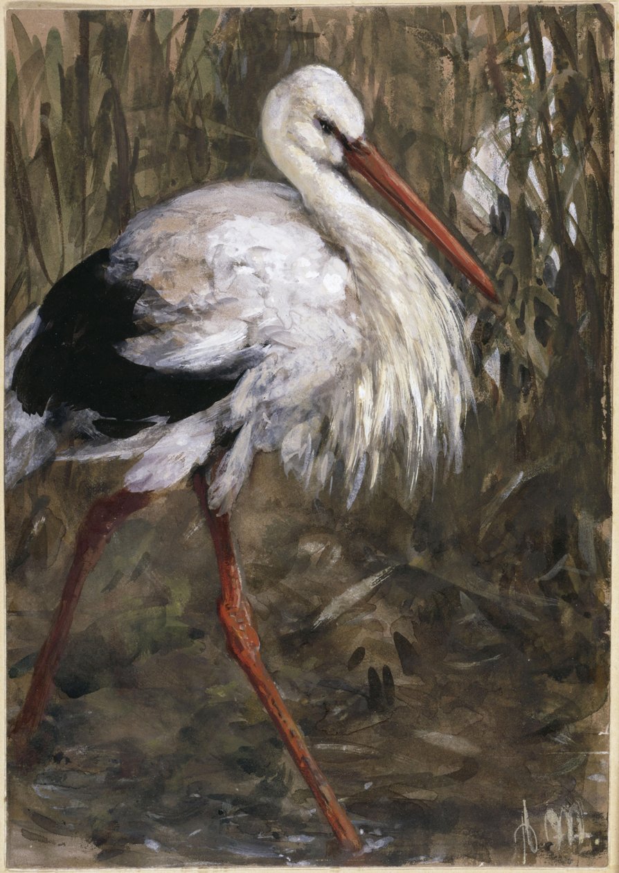 La cigogne dans les roseaux. Extrait de « L