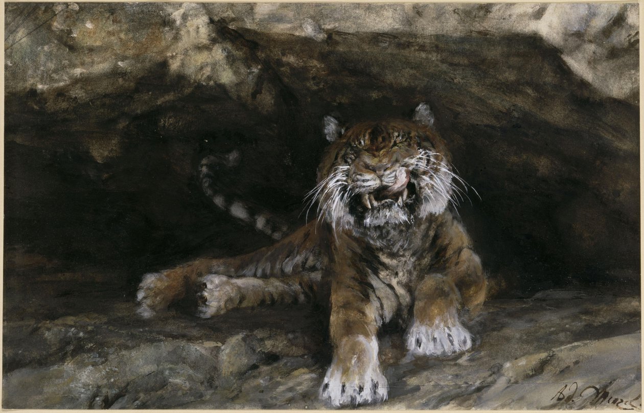 Le tigre. Extrait de « L
