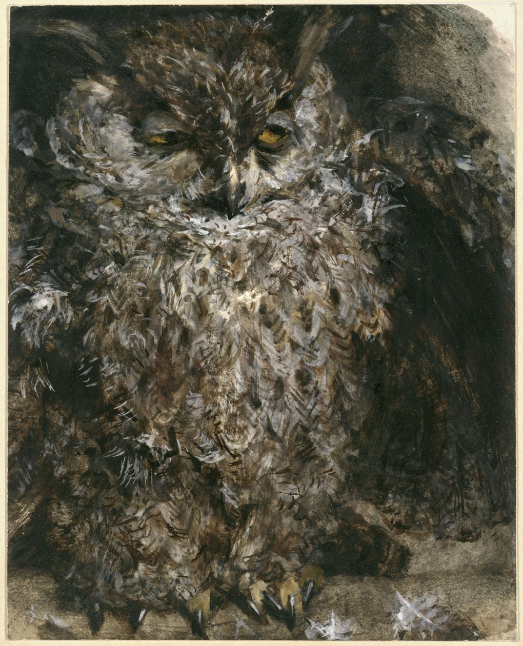Le hibou moyen-duc. Extrait de l