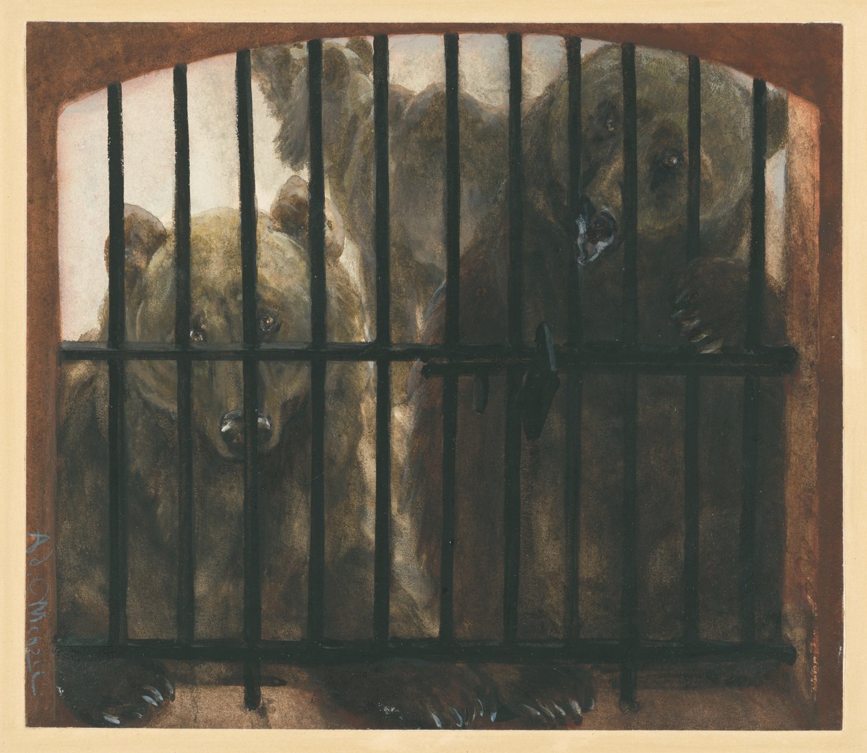 Trois ours en cage. Extrait de « L