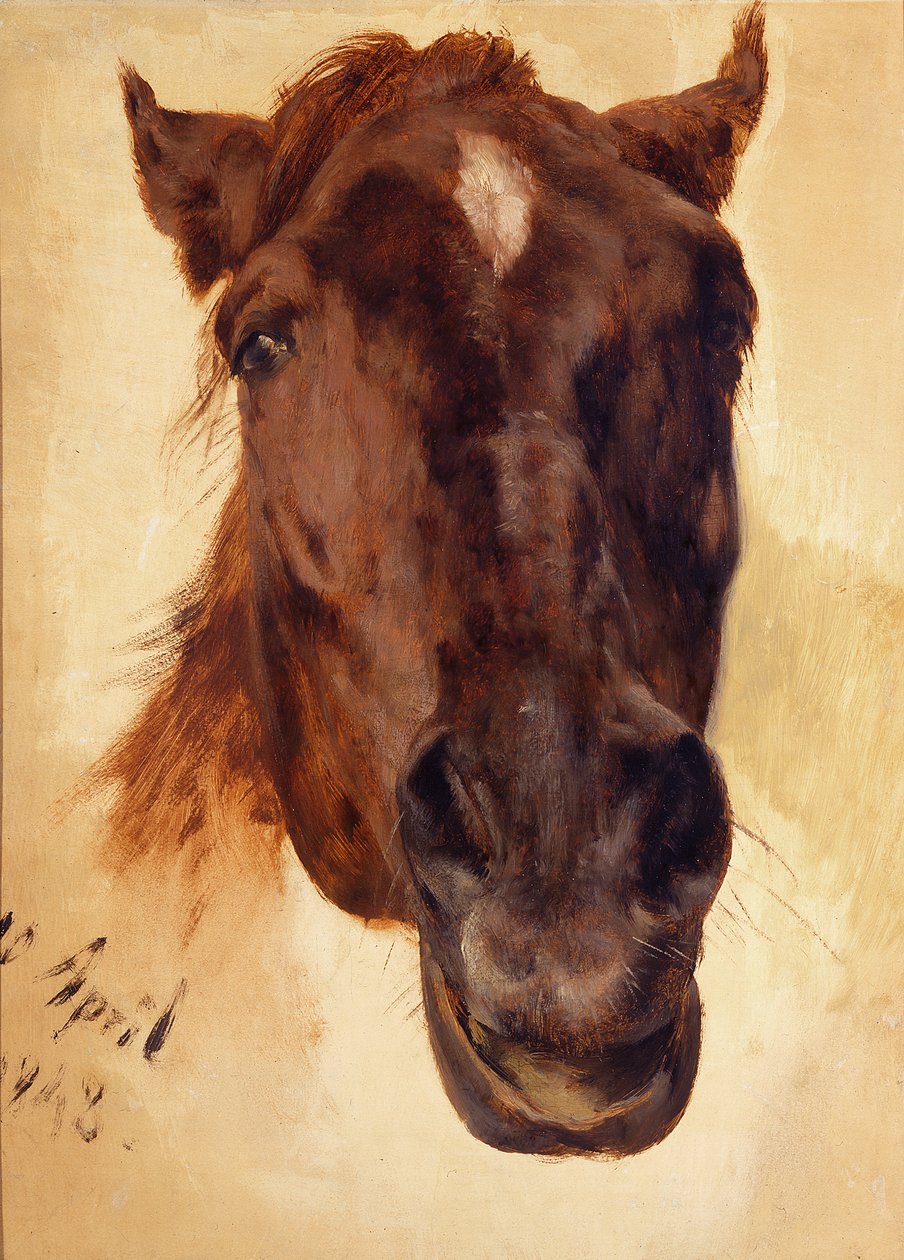 Tête de cheval - Adolph Menzel
