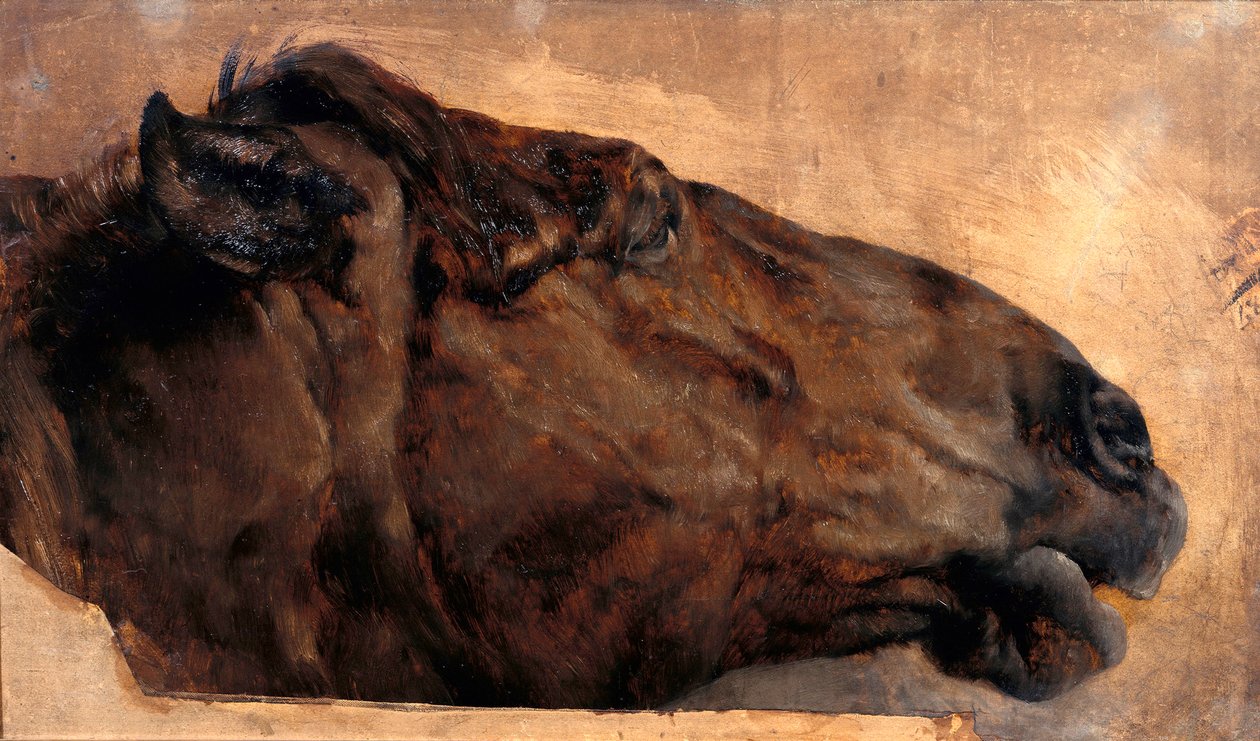 Étude de cheval. Tête vue de profil vers la droite - Adolph Menzel