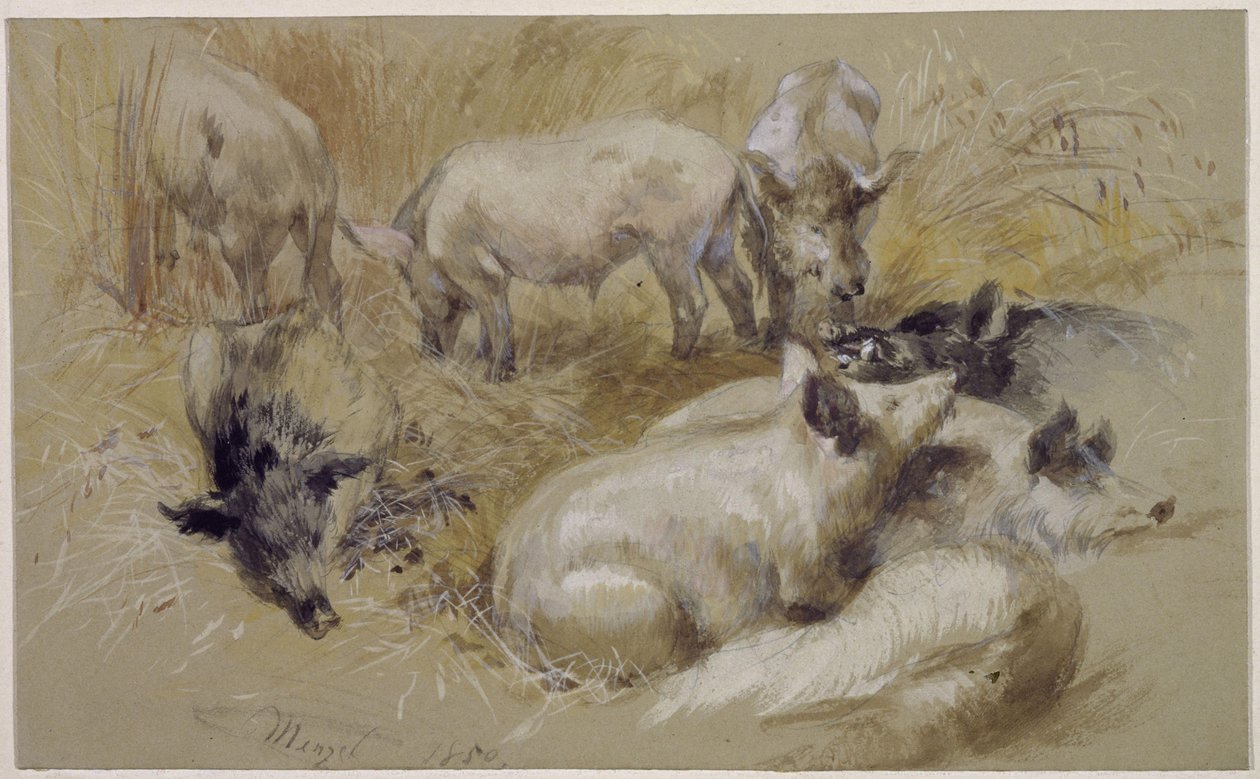 Cochons dans un champ de blé - Adolph Menzel